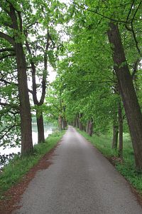 Jižní Čechy - 13. den: Sudoměř – 9 km: památník bitvy u Sudoměře – sochy husitských bojovníků – Mladějovice (Skupův koutek a sochy Spejbla a Hurvínka) - tvrz Mladějovice - vodovod princezny Hedviky; Čejetice