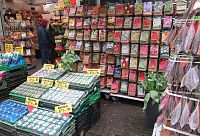 Plovoucí květinový trh Bloemenmarkt