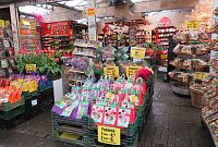 Plovoucí květinový trh Bloemenmarkt
