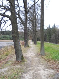 Dolní rybník - cesta po hrázi 