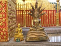 Buddha s kobrou - znak štěstí
