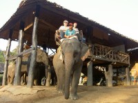 Pozor výjezd do pralesa na slonovi!