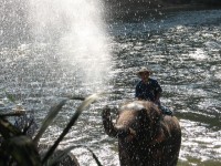 Sloní fontána