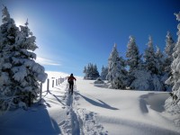 V regionu HOCHsteiermark si přijdou na své lyžaři, gurmáni i milovníci adventních trhů