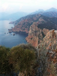 Výhled od Capu Rosso