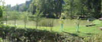 Horní neratovský rybník