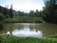 Prostřední neratovský rybník