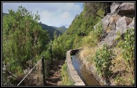 Madeira - hodně vidět, málo platit - díl 5