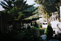 Agios Neophytos - zahrada plná cypřišů, citrusů, ovoce, květin a olivovníků
