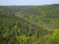 kokořínské lesy