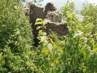 zříceniny hradu obklopené bujnou vegetací