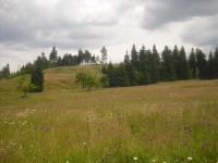 Nad Ryžovnou (1.054 m.n.m.) - další tisícovka v Krušných horách