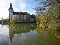 Blatná - zámek, zámecký park, daňkové a bříza