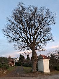 Obec Chotoviny a výklenková kaple na západním okraji obce