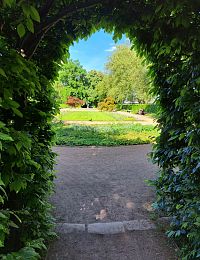 Drážďany a městský park za mostem Carolabrücke