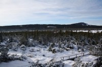 Šumava - rozhledna Jezerní slať u Kvildy