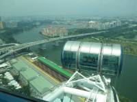 Singapore Flyer - cílová rovinka okruhu F1