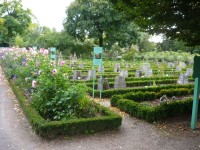 Dijon - Jardin de l´ Arquebuse (Botanická zahrada)