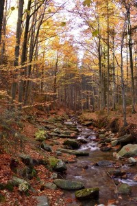 Keprnický potok na podzim