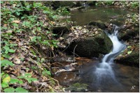 15-Kamenný potok před ústím do Doubravy