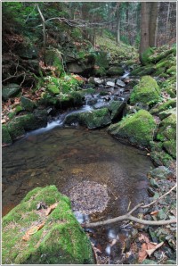 16-Kamenný potok před ústím do Doubravy