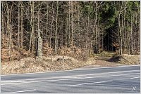 4-Kříž za silnicí na Honském sedle. tou cestou se jde asi 50 metrů, pak vpravo do lesa.