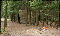 5-Lesní dětské hřiště
