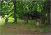 5-Židovský hřbitov u Hoješína