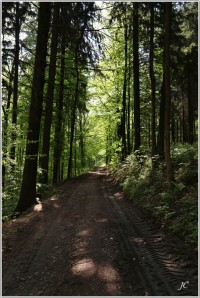 21-Cesta lesem nad Kociolem