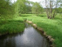 Padrťský potok (Klabava)