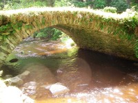 nejstarší most u osady Úbočí