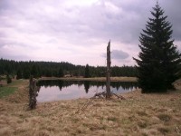 Černé rybníky  na potoce Černá na hranici pod Satzungem