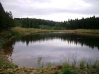 Nový Hrádecký rybník