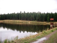 rybník Nový Hrádecký a Fuchsbach , Vlčí jezírko - vše nedaleko Kristinina hrádku