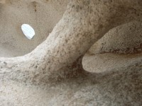 Žula-f: bizarní formace granitu, Sitónie 
