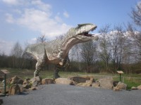 Ciganotosaurus
