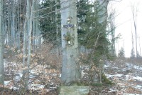 Křížek u rozcestí na okraji lesa
