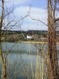 36.Pohled mezi stromy na obec přes rybník