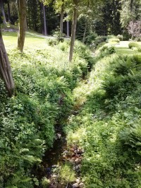 Třebízského potok protéká lesem pod hotelem