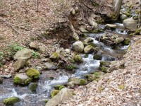 Potok připomíná svými kameny miniaturní Vydru na Šumavě..