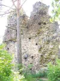 Zbytky zdí hradu Zbořený Kostelec