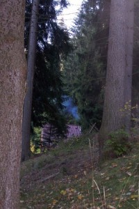 19.Chatička v lese s modravým dýmem