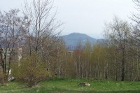 19.Pohled od Kudlichova pomníku-mladé břízky dělají rámec Doubravské hoře