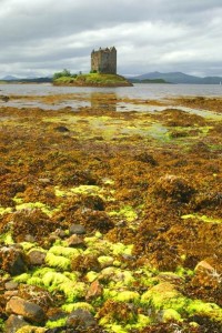 Skotsko- hrad Stalker na ostrově v moři při odlivu