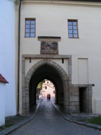 Vstupní brána