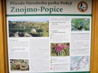 info obec Popice