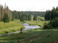 Šumava na kole – Modrava-Poledník-Prášily-Srní-Antýgl-Modrava