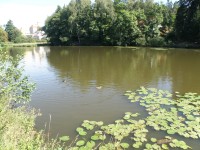rybník Kladivo