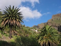 Tenerife - pohoří Teno – vesnička a soutěska Masca