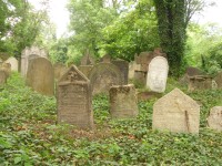 Kolín - židovský hřbitov